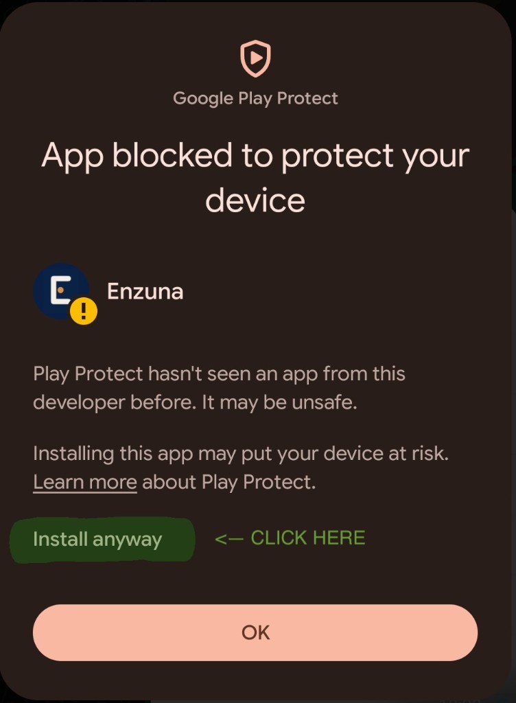Google Play Protect expanded dialog with Install anyway option highlighted
