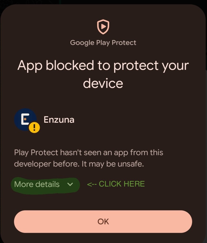 Google Play Protect dialog with More details link highlighted